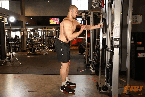 triceps-unilateral