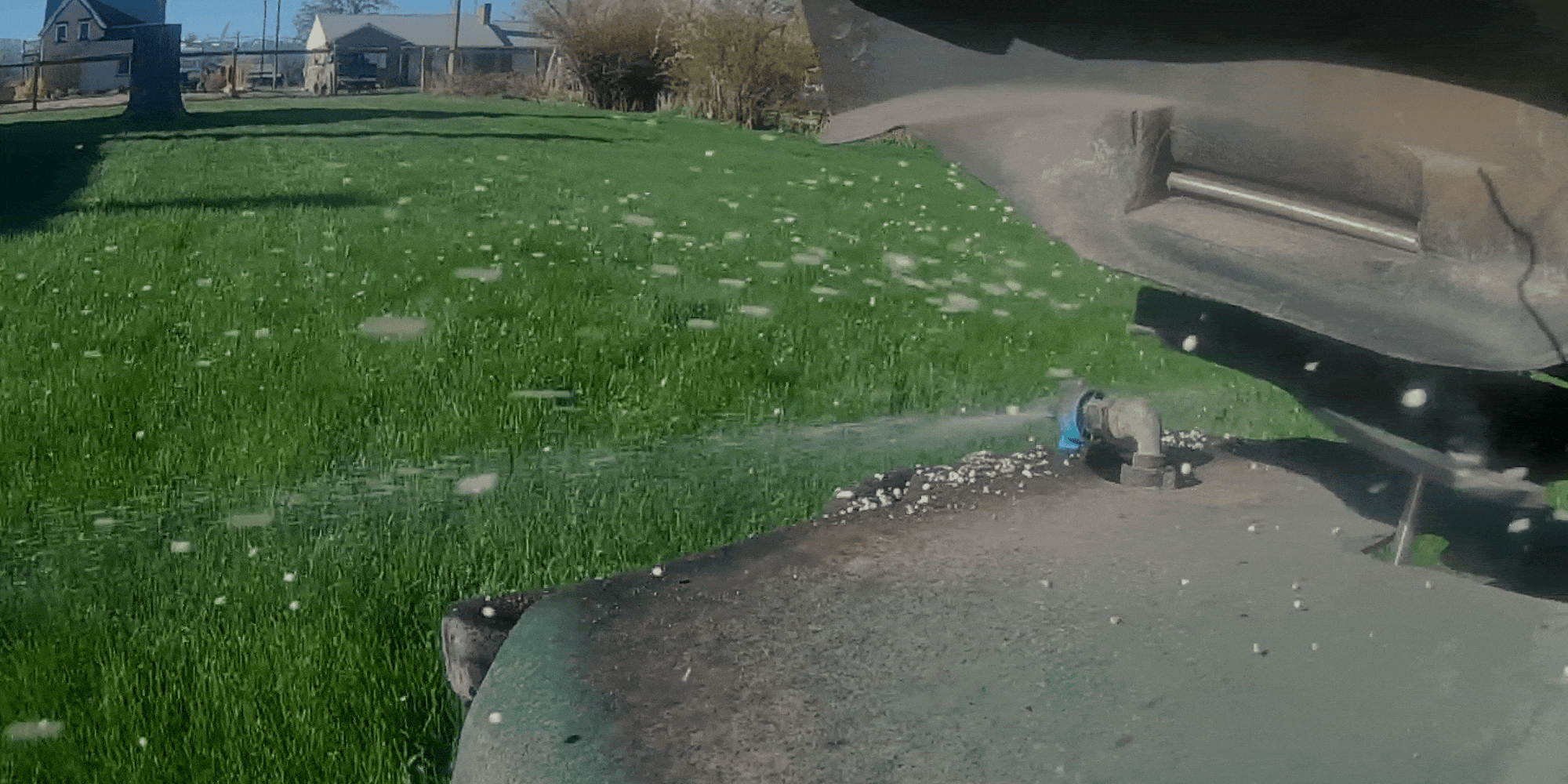 black and white bed linen