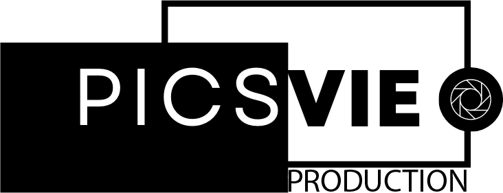 Picsvie- Votre projet vidéo logo