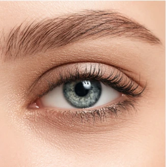 Soft Arch Brow