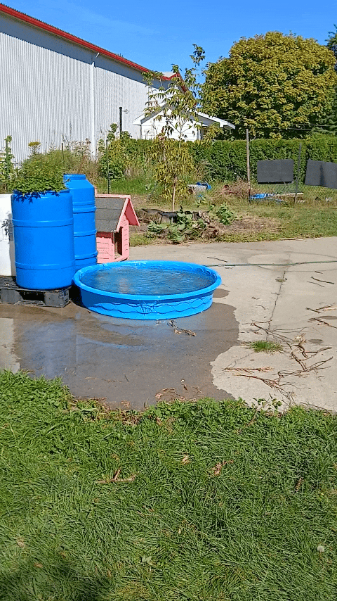 a blue plastic water tank sitting in the grass