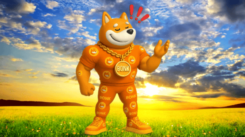 a dog in a costume standing in a field