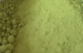 Matcha Lidl à petit prix : avis 2 Couleur du thé matcha Lidl - Comparaison visuelle