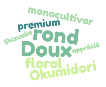 Les cultivars du Matcha : Ce que les marques vous cachent 9 Cultivar Okumidori