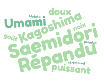 Les cultivars du Matcha : Ce que les marques vous cachent 8 Cultivar Saemidori
