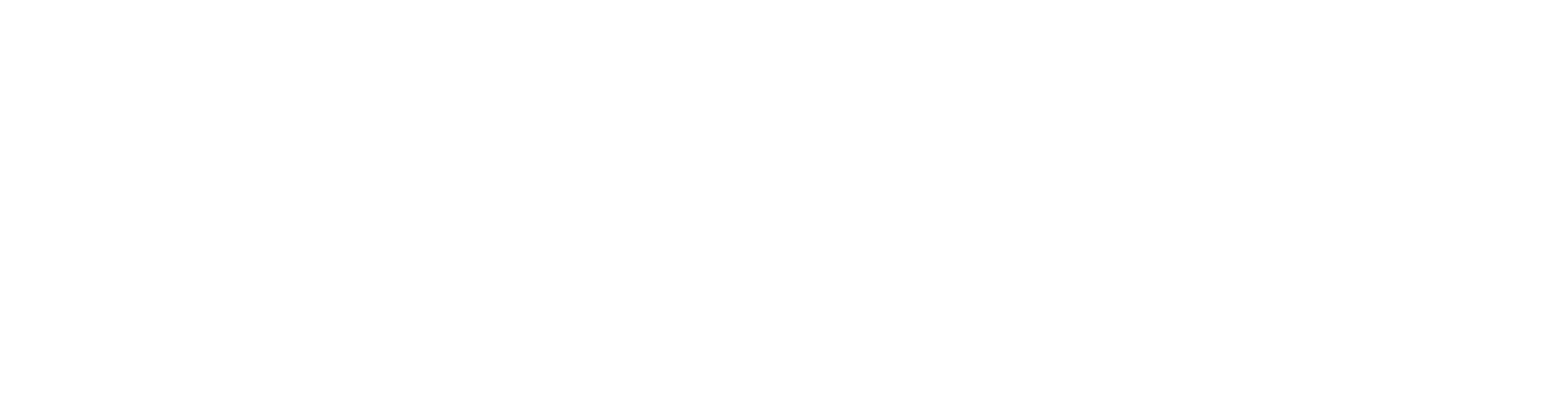 Aiyarise Logo
