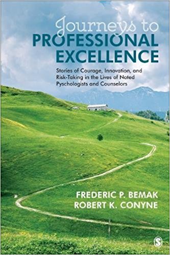 Journeys to Professional Excellence: Stories of Courage, Innovation, and Risk-Taking in the Lives of