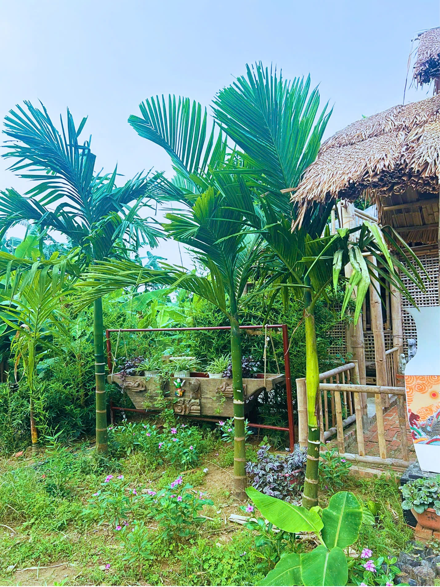Hanoi Itinerary