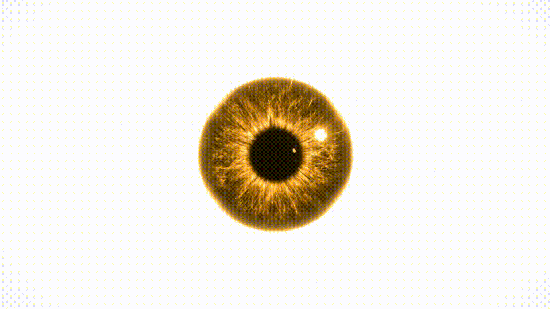 black nikon dslr camera on white printer paper