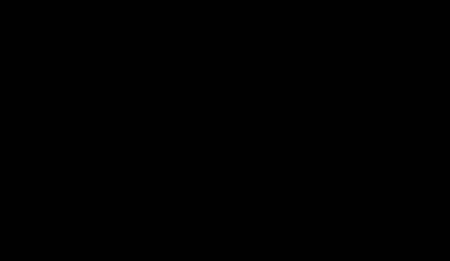 Saale Classics logo