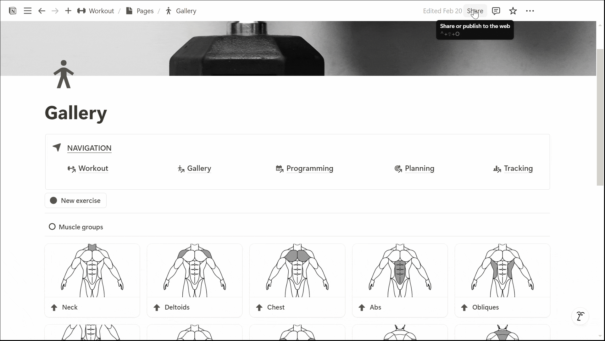Notion Page Publication