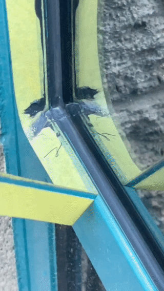 Window caulking and sealant installation in Phoenix AZ using professional silicone sealants by Felix