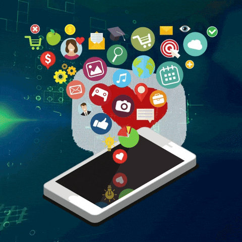 ambassador network
