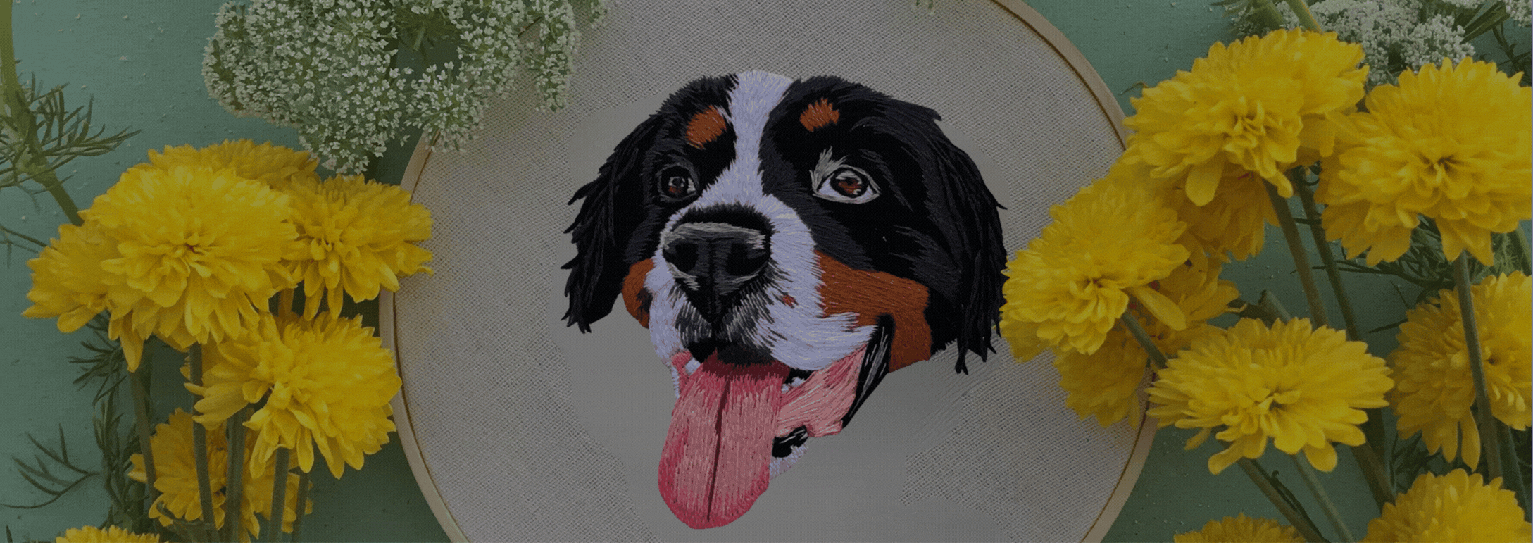 yellow flowers beside black and white short coated dog