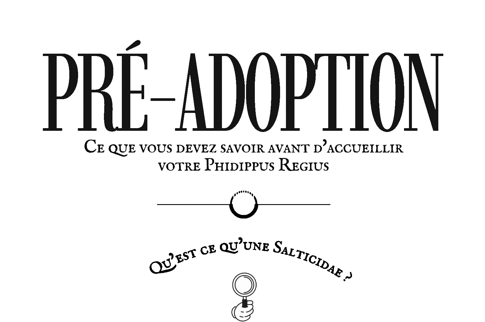 achat phidippus regius - conseils phidippus regius - probleme phidippus - aide phidippus regius