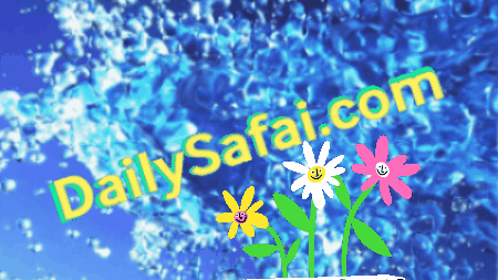 DailySafai.com logo