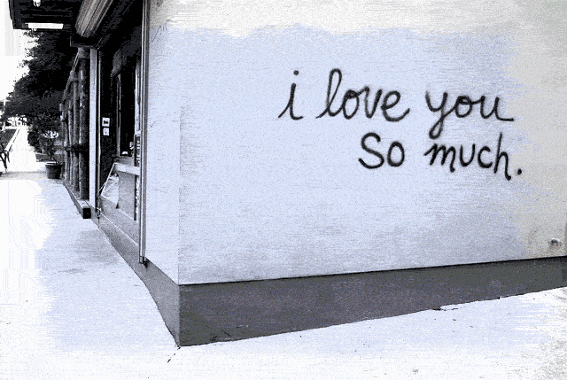 women's black and white bra