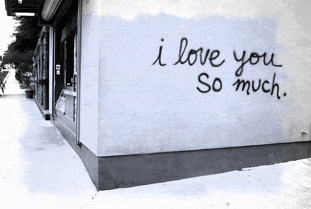 women's black and white bra