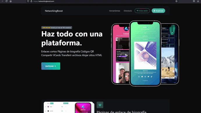 networkingboost web previsualizar