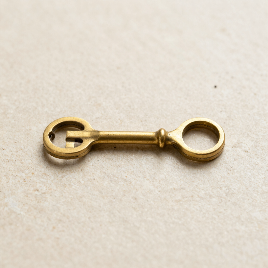 Solid Brass Key Hook