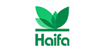 Haifa