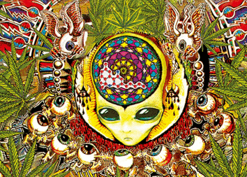 woman holding dried flower