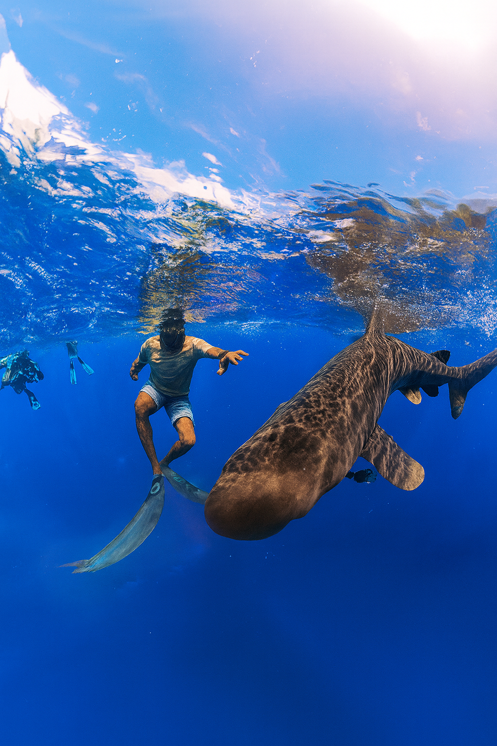 Diver with sharks in deep blue water near Fuvahmulah