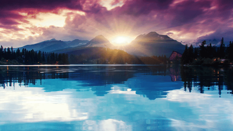 black blue and yellow textile