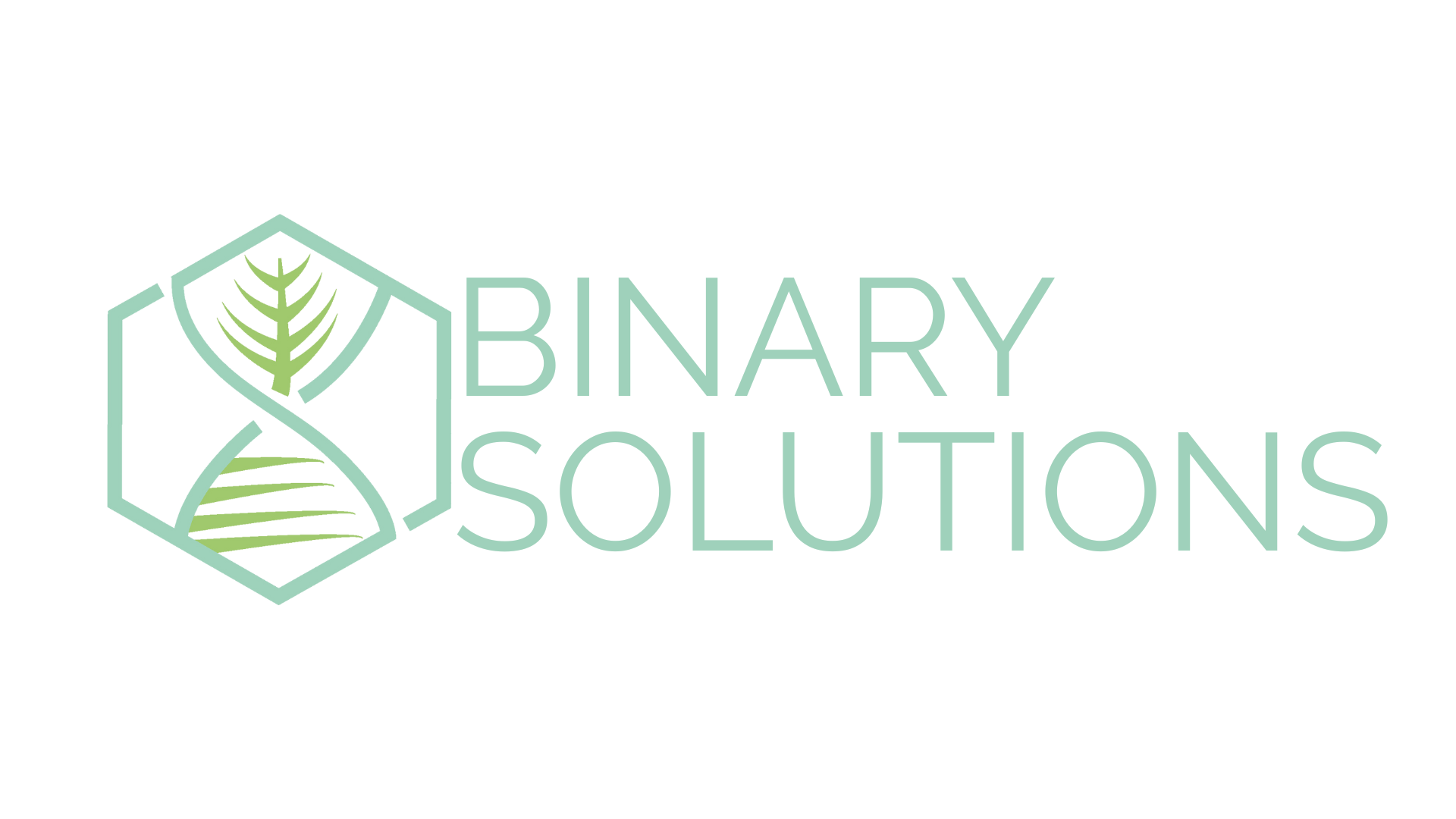 Binary Solutions logo