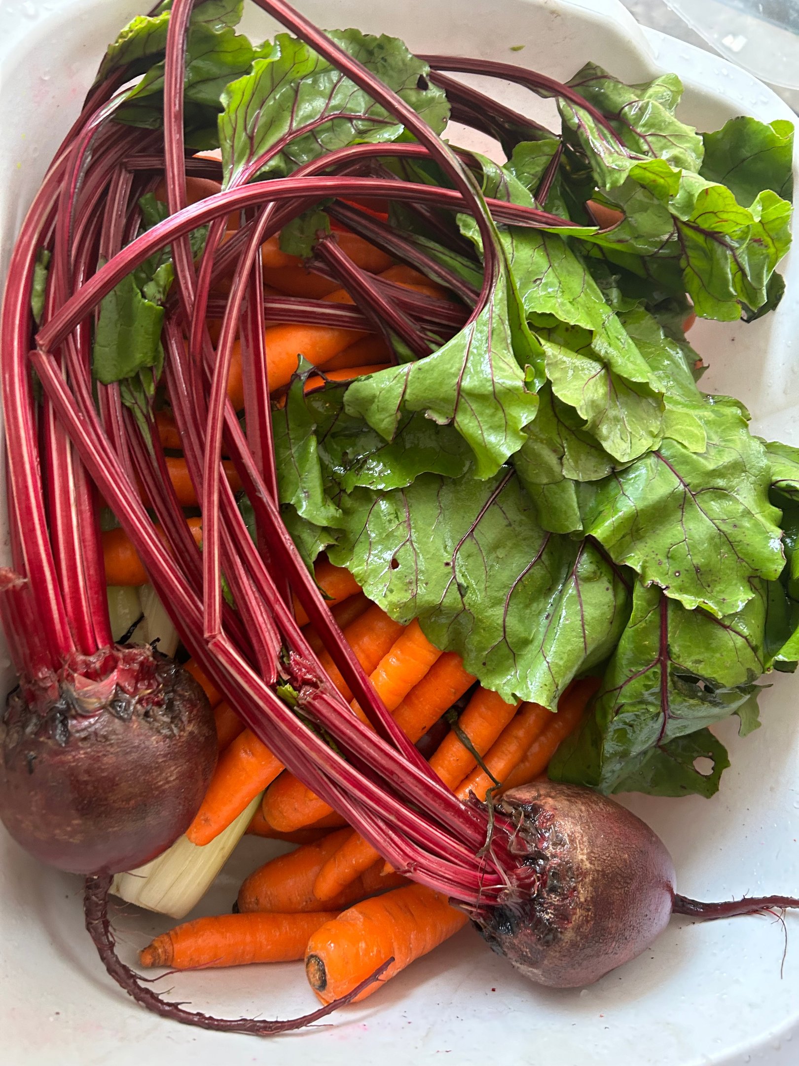 The whole team — fresh produce lineup