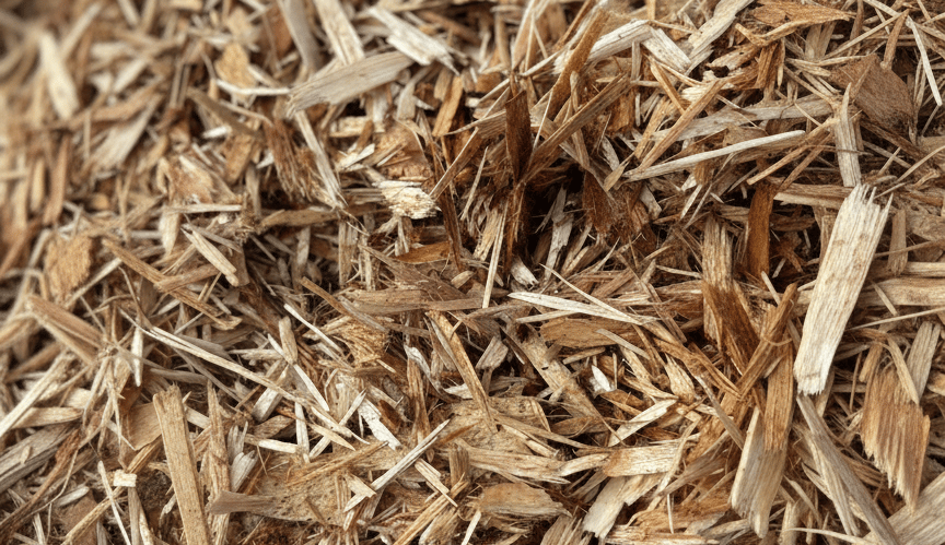 Veneer wood chips bulk supply