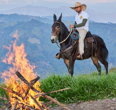 Experiencia ecuestre y naturaleza en Finca El Diamante