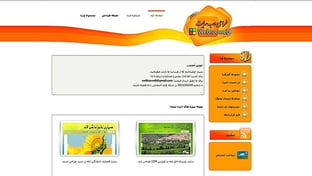 webtooweb screenshot