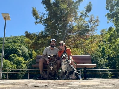 A couple sits on a park bench with their two dogs against a backdrop of lush green trees.