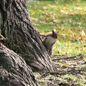 Svarbu tai, ko gyvenimas tikisi iš mūsų
