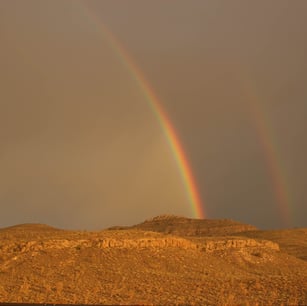 Gyvenimas niekada netampa nepakeliamu dėl aplinkybių, o tik dėl prasmės ir tikslo trūkumo.