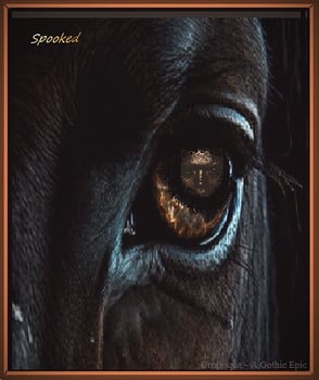 Abbey Stable Horses are Spooked