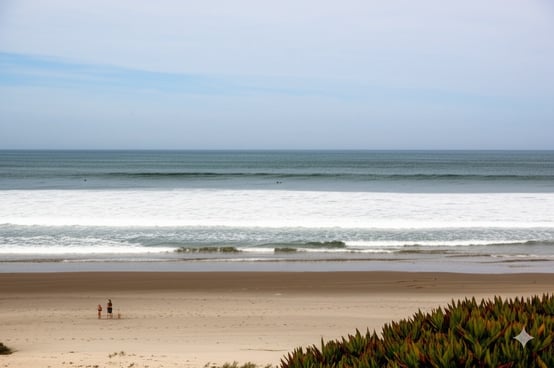 Mold testing North San Diego, mold testing north county, mold inspection near me