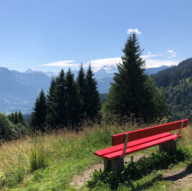 Psichologinė konsultacija