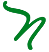 NUSAY EXPORT logo