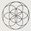 BIORESONANCE SANTEQUANTIQUE logo