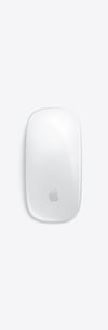 magic mouse