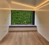 scenic view from big, open window