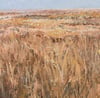 Close-up of textured acrylic painting with soft brown grasses and sparse dark plants under a pale blue sky.