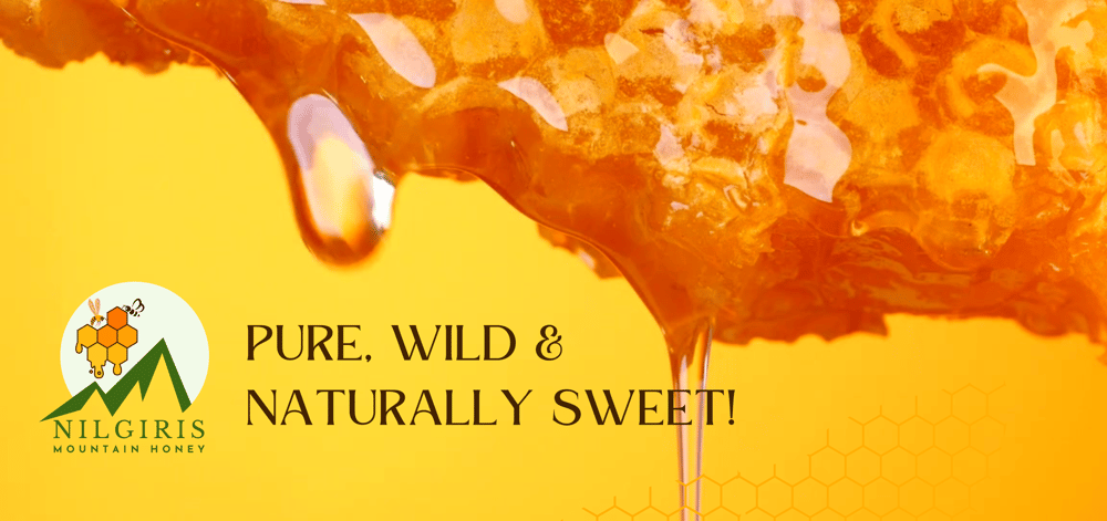 a honey comb prue wild natural honey yammy in Ooty