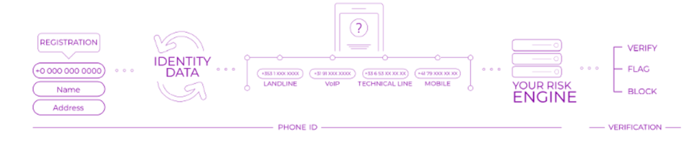 whatsapp bulk api