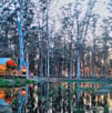 mountain and forest retreat, forest walks