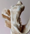 A clickable link leading to a page with further information about the sculpture 'Windswept Dreams'