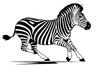 zebra