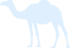 camel silhouette illustration